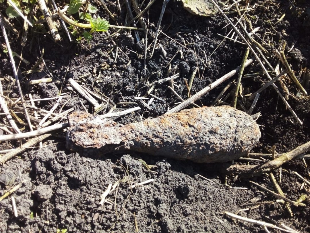 В селе  Кочегуры Чернянского района обнаружен взрывоопасный предмет